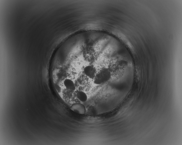 X0000092010487200710041028