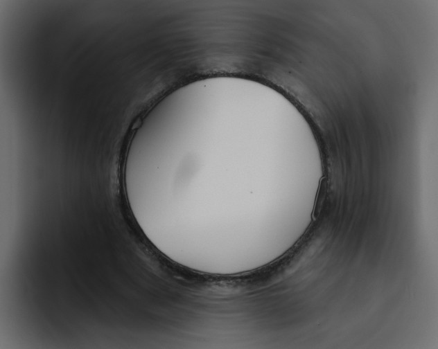 X0000092010489200710041028