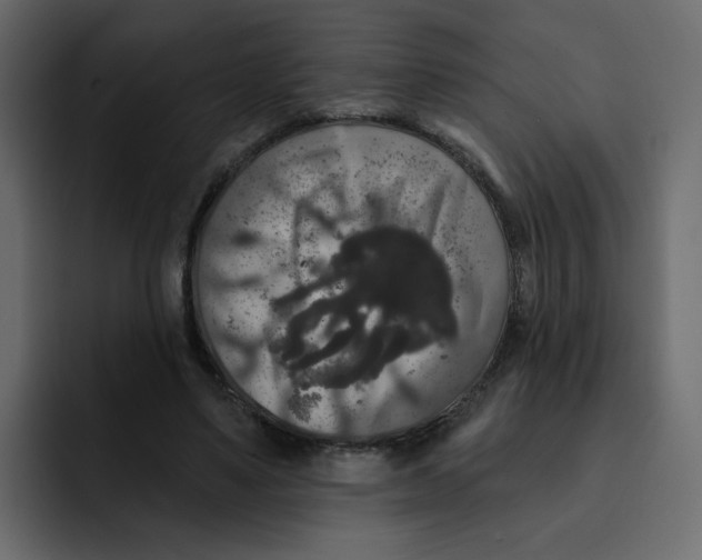 X0000092010491200710041028