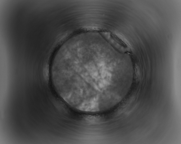 X0000092010494200710041028
