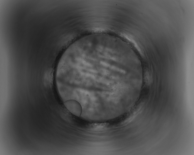 X0000092010495200710041028
