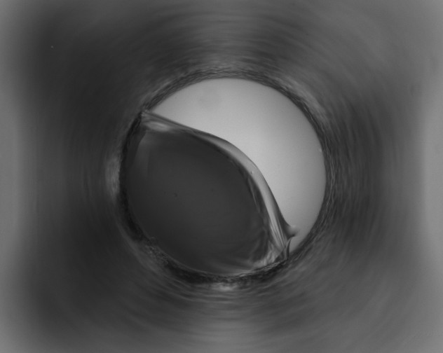X0000092010496200710041028