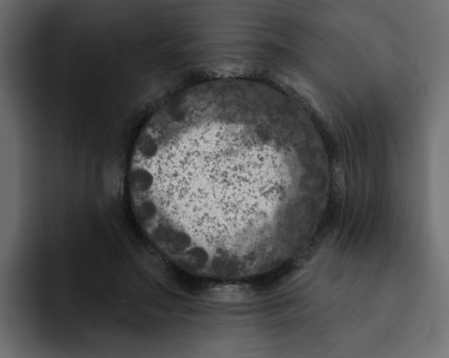 X0000092010499200710041028