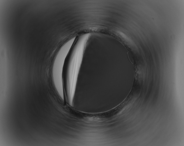 X0000092010500200710041028