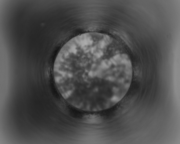X0000092010503200710041028