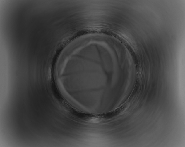 X0000092010504200710041028
