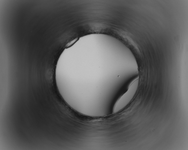 X0000092010505200710041028