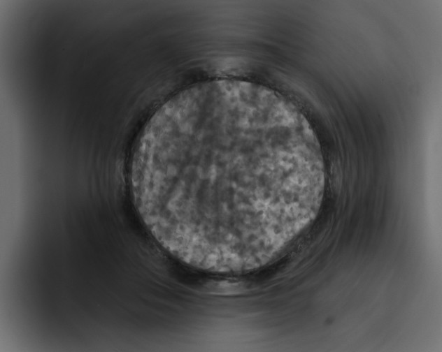 X0000092010506200710041028