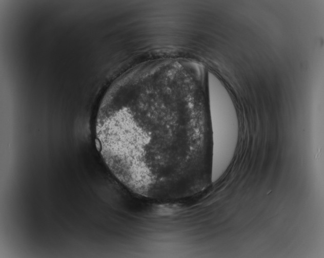 X0000092010508200710041028
