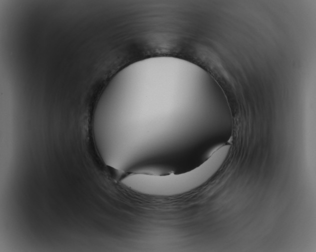 X0000092010509200710041028