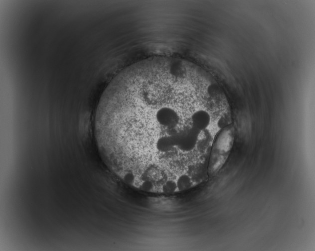 X0000092010511200710041028