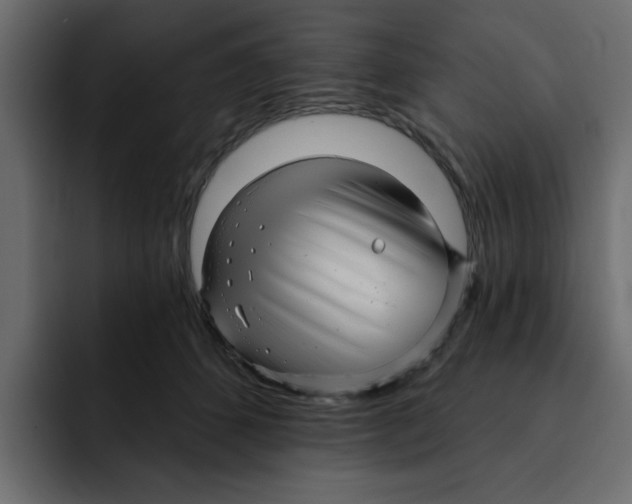 X0000092010512200710041028