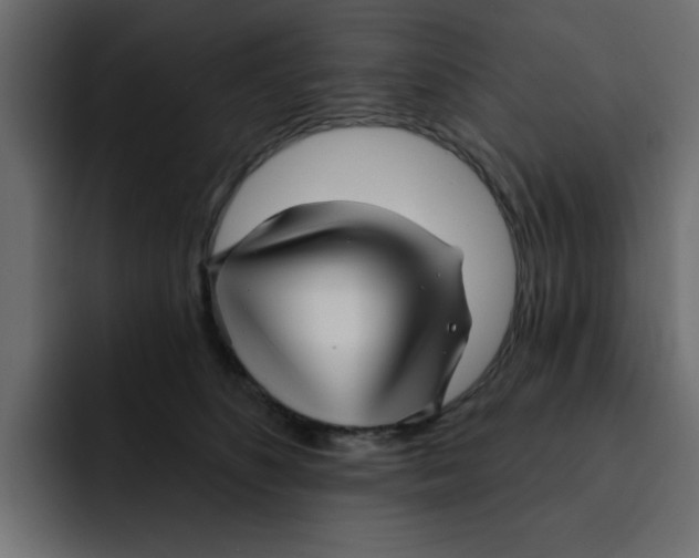 X0000092010516200710041028