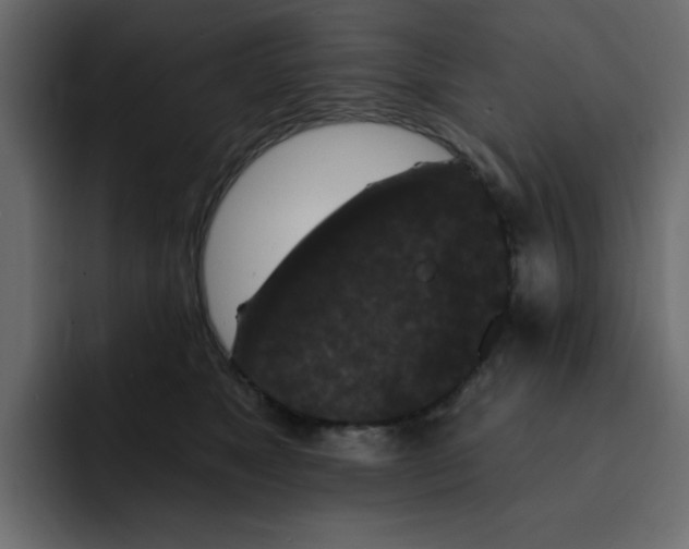 X0000092010517200710041028