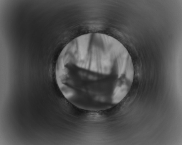 X0000092010519200710041028