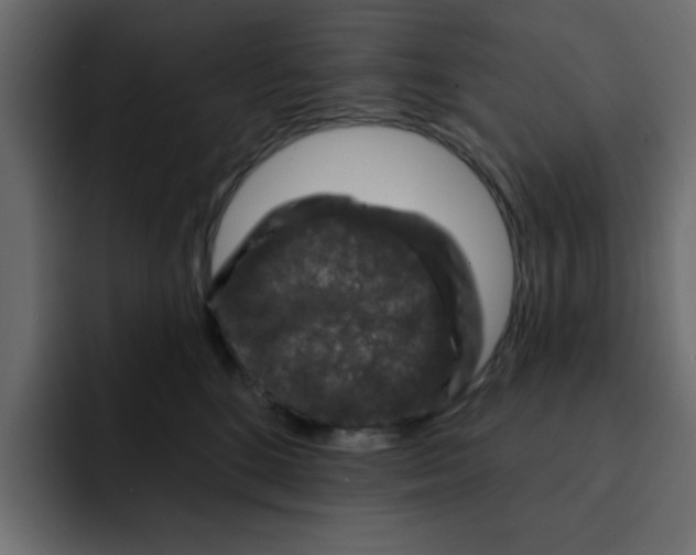 X0000092010520200710041028