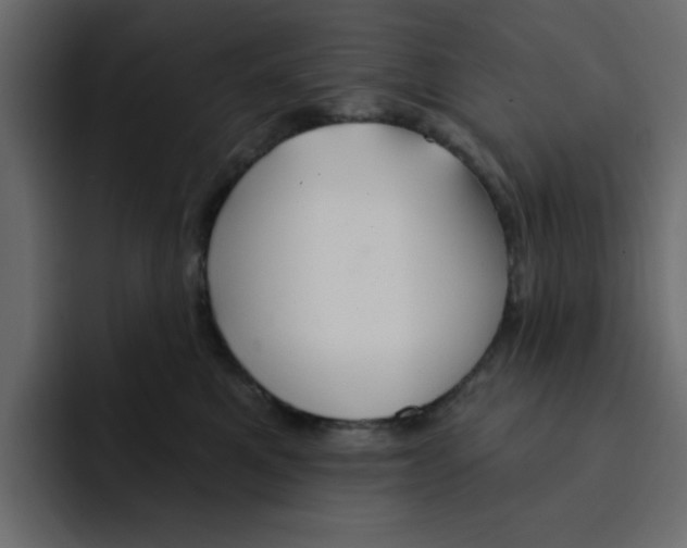 X0000092010521200710041028