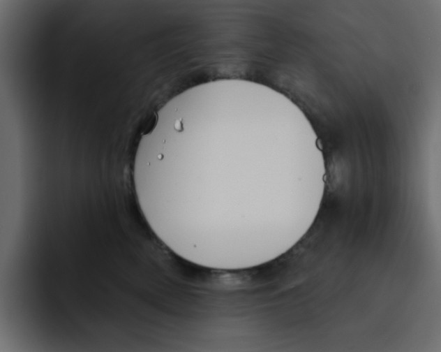 X0000092010522200710041028