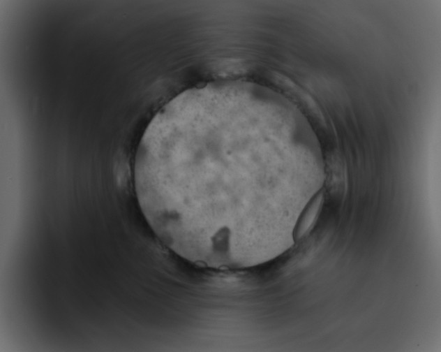 X0000092010523200710041028