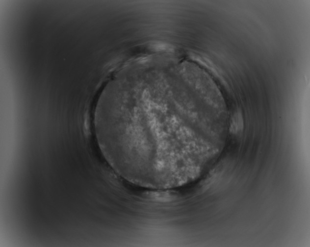 X0000092010524200710041028