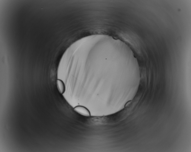X0000092010526200710041028