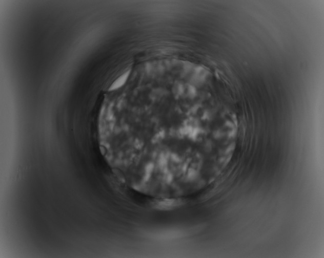 X0000092010527200710041028