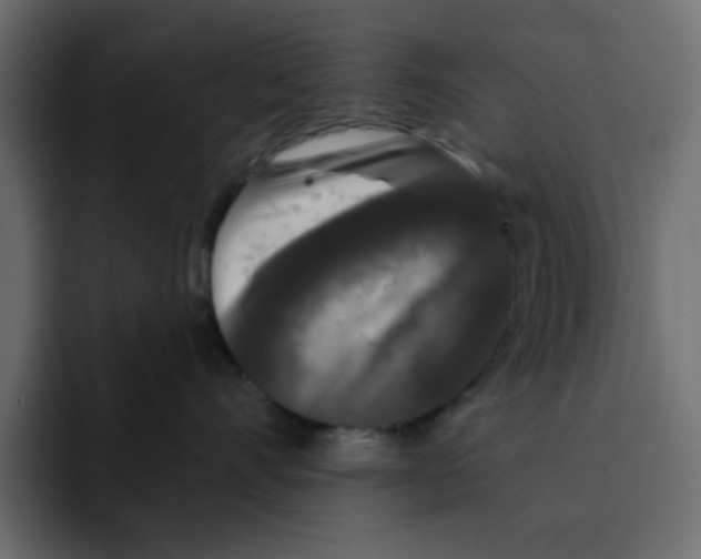X0000092010528200710041028