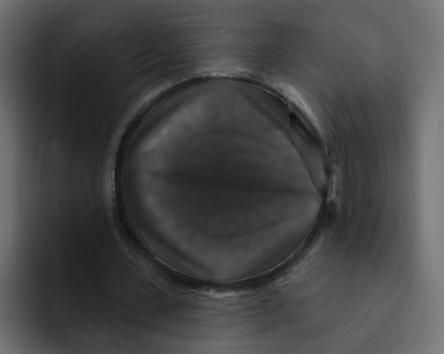 X0000092010531200710041027