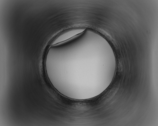 X0000092010535200710041027