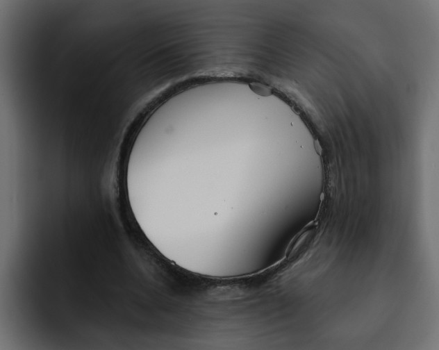 X0000092010536200710041027