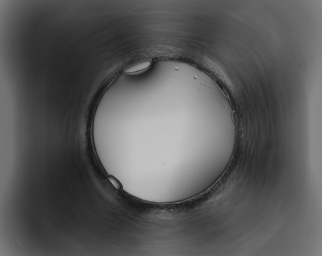 X0000092010538200710041027