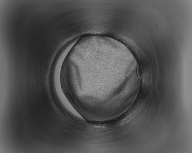 X0000092010540200710041027