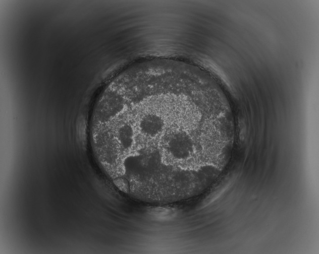 X0000092010542200710041027