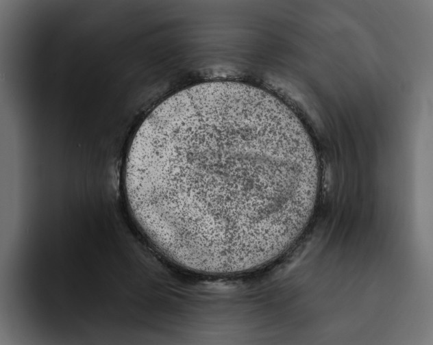 X0000092010545200710041027