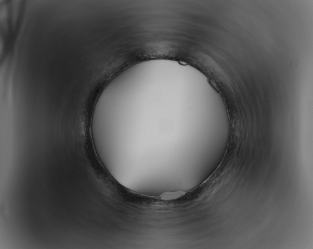 X0000092010546200710041027