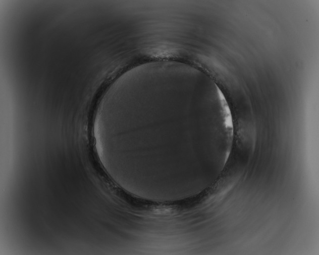 X0000092010547200710041027