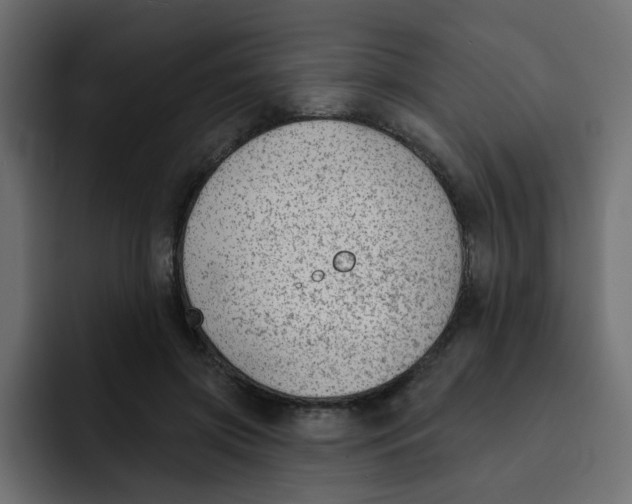 X0000092010549200710041027