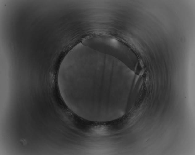 X0000092010551200710041027