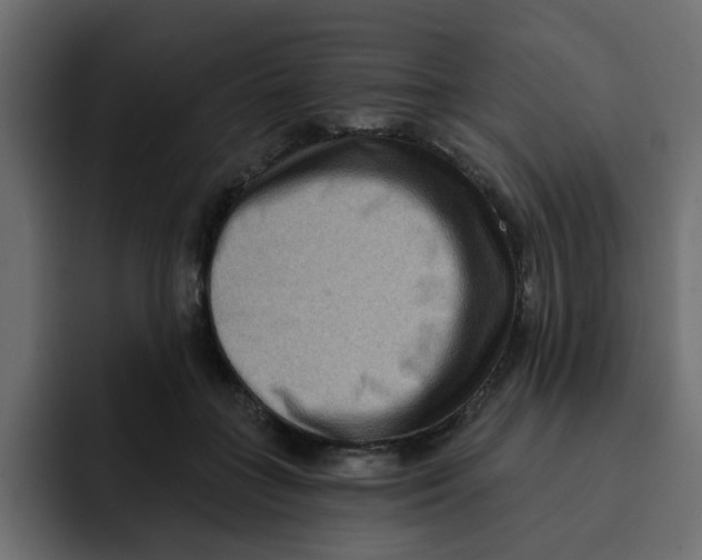 X0000092010555200710041027