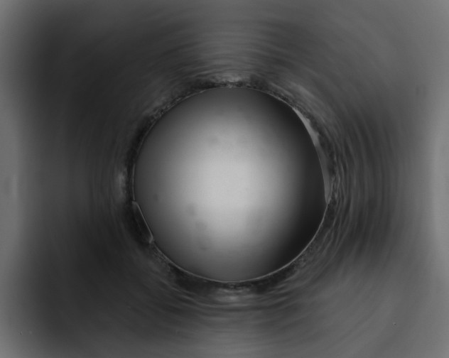 X0000092010556200710041027