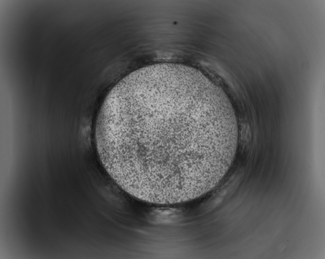 X0000092010557200710041027