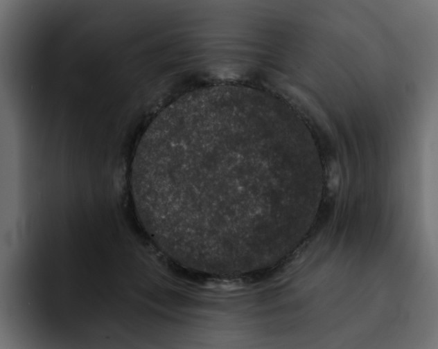 X0000092010559200710041027