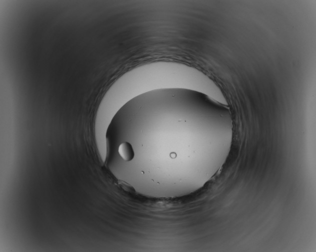 X0000092010562200710041028
