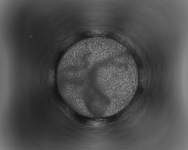 X0000092010563200710041028