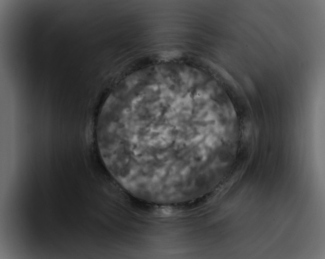 X0000092010565200710041028