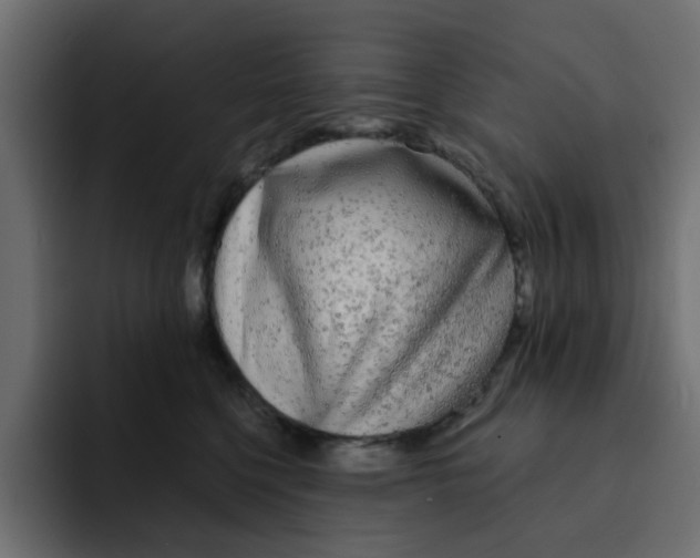 X0000092010568200710041028