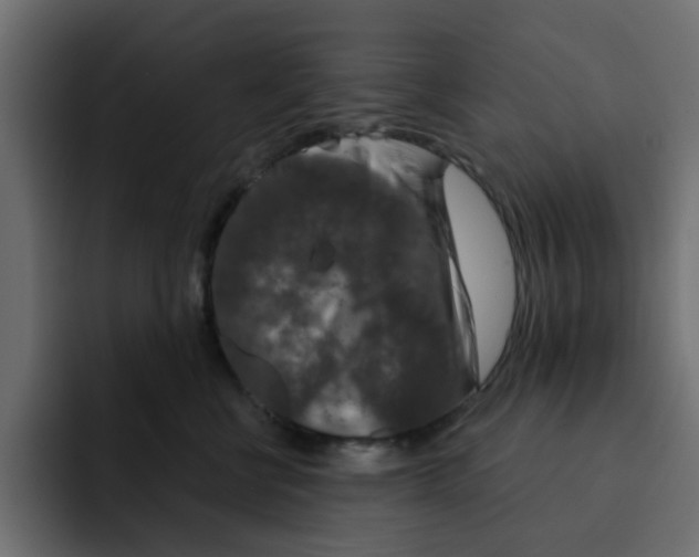 X0000092010570200710041028