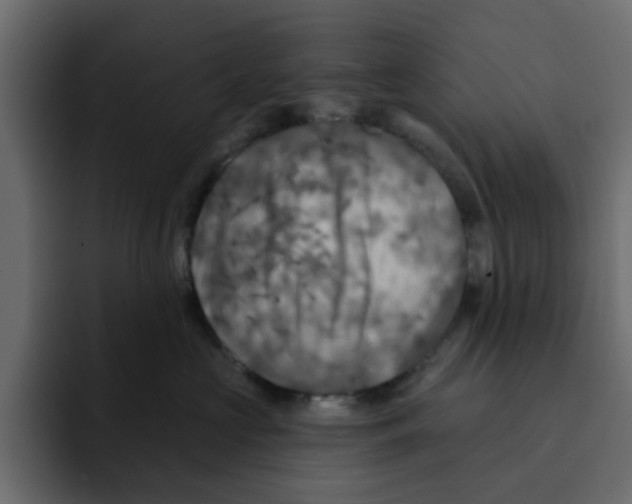 X0000092010573200710041028