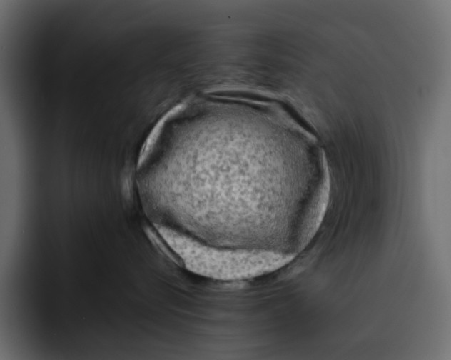 X0000092010576200710041028
