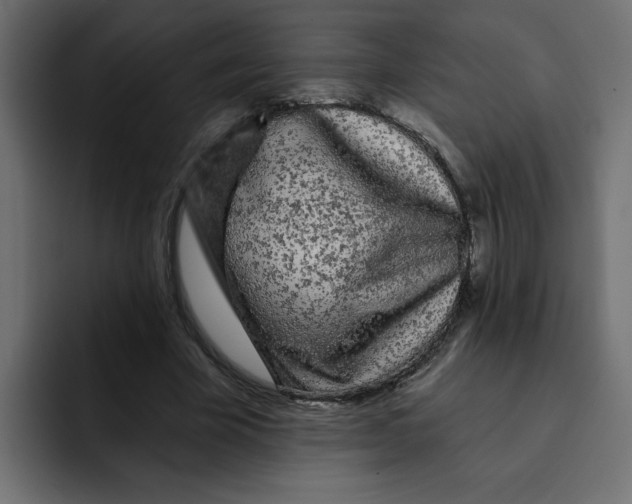 X0000092010585200710041027